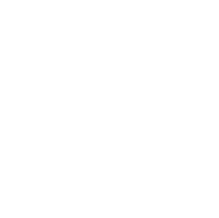 INTRCONNECT2024_logo_White